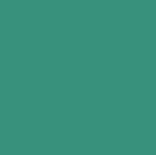 BOTTOM PAINT GREEN QT