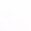 Bilge Paint 9604 White — 1 Gallon